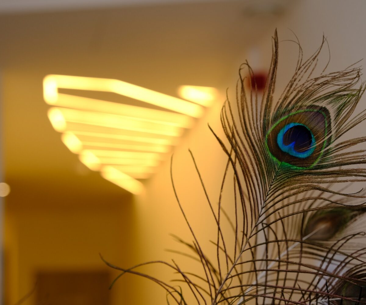 Practice Gallery Image - Peacock Dental Spa